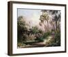 Myakka River Scene-Art Fronckowiak-Framed Art Print