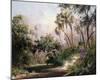 Myakka River Scene-Art Fronckowiak-Mounted Art Print