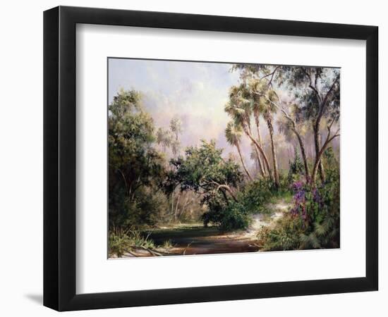 Myakka River Scene-Art Fronckowiak-Framed Art Print