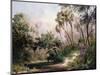 Myakka River Scene-Art Fronckowiak-Mounted Art Print