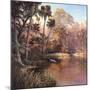 Myakka Sunset-Art Fronckowiak-Mounted Art Print