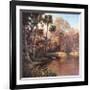 Myakka Sunset-Art Fronckowiak-Framed Art Print