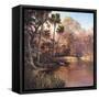 Myakka Sunset-Art Fronckowiak-Framed Stretched Canvas