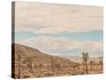 Stretched Canvas