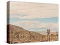 Stretched Canvas