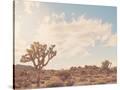 Stretched Canvas