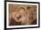 Myanmar, Bagan. Ancient Artwork in a Buddhist Temple-Jaynes Gallery-Framed Photographic Print