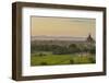 Myanmar. Bagan. Horse Carts and Cattle Walk the Roads at Sunset-Inger Hogstrom-Framed Photographic Print