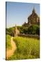 Myanmar. Bagan. Htilominlo Temple-Inger Hogstrom-Stretched Canvas