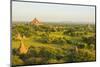 Myanmar. Bagan. Light over the Plains of Bagan and Dhammayangyi Temple-Inger Hogstrom-Mounted Photographic Print