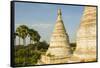 Myanmar. Bagan. Minochantha Stupa Group and Palm Trees Beyond-Inger Hogstrom-Framed Stretched Canvas