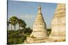 Myanmar. Bagan. Minochantha Stupa Group and Palm Trees Beyond-Inger Hogstrom-Stretched Canvas