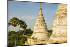 Myanmar. Bagan. Minochantha Stupa Group and Palm Trees Beyond-Inger Hogstrom-Mounted Photographic Print