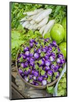 Myanmar. Bagan. Nyaung U. Market. Eggplant for Sale in the Market-Inger Hogstrom-Mounted Photographic Print