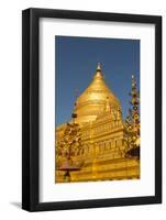 Myanmar. Bagan. Nyaung U. Shwezigon Pagoda-Inger Hogstrom-Framed Photographic Print