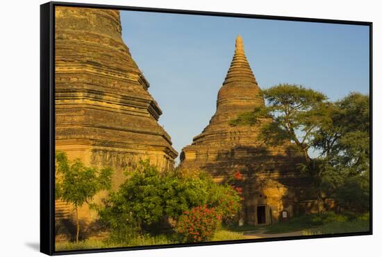 Myanmar. Bagan. Red Brick Temple Glows in the Late Afternoon Light-Inger Hogstrom-Framed Stretched Canvas