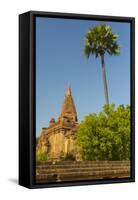 Myanmar. Bagan. Temple with a Palm Tree Towering Above-Inger Hogstrom-Framed Stretched Canvas