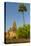 Myanmar. Bagan. Temple with a Palm Tree Towering Above-Inger Hogstrom-Stretched Canvas