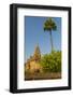 Myanmar. Bagan. Temple with a Palm Tree Towering Above-Inger Hogstrom-Framed Photographic Print