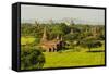 Myanmar. Bagan. the Plain of Bagan Is Dotted with Hundreds of Temples-Inger Hogstrom-Framed Stretched Canvas