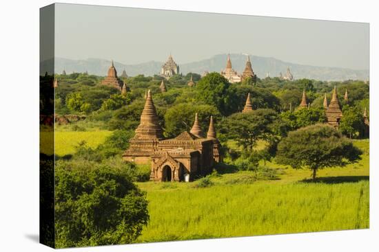 Myanmar. Bagan. the Plain of Bagan Is Dotted with Hundreds of Temples-Inger Hogstrom-Stretched Canvas