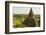 Myanmar. Bagan. the Plain of Bagan Is Dotted with Hundreds of Temples-Inger Hogstrom-Framed Photographic Print