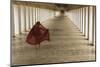 Myanmar, Bagan. Young Monk Walks the Hallway of Shwezigon Monastery in Bagan-Brenda Tharp-Mounted Photographic Print