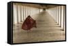 Myanmar, Bagan. Young Monk Walks the Hallway of Shwezigon Monastery in Bagan-Brenda Tharp-Framed Stretched Canvas