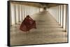 Myanmar, Bagan. Young Monk Walks the Hallway of Shwezigon Monastery in Bagan-Brenda Tharp-Framed Stretched Canvas