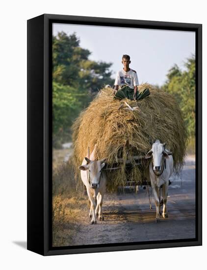 Myanmar, Burma, Bagan, A Farmer Takes Home an Ox-Cart Load of Rice Straw for His Livestock-Nigel Pavitt-Framed Stretched Canvas