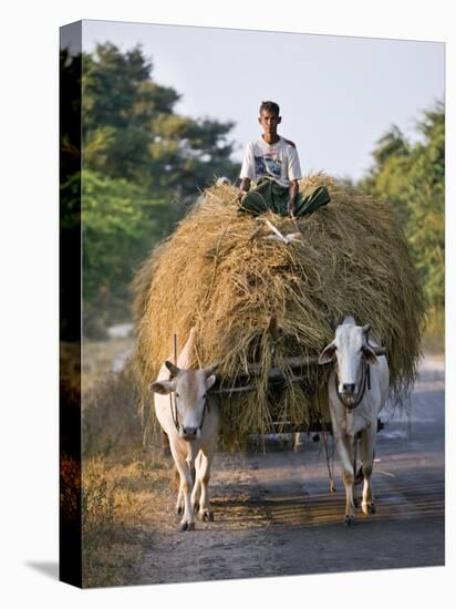 Myanmar, Burma, Bagan, A Farmer Takes Home an Ox-Cart Load of Rice Straw for His Livestock-Nigel Pavitt-Stretched Canvas