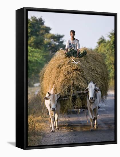 Myanmar, Burma, Bagan, A Farmer Takes Home an Ox-Cart Load of Rice Straw for His Livestock-Nigel Pavitt-Framed Stretched Canvas