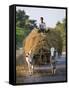 Myanmar, Burma, Bagan, A Farmer Takes Home an Ox-Cart Load of Rice Straw for His Livestock-Nigel Pavitt-Framed Stretched Canvas