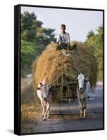 Myanmar, Burma, Bagan, A Farmer Takes Home an Ox-Cart Load of Rice Straw for His Livestock-Nigel Pavitt-Framed Stretched Canvas