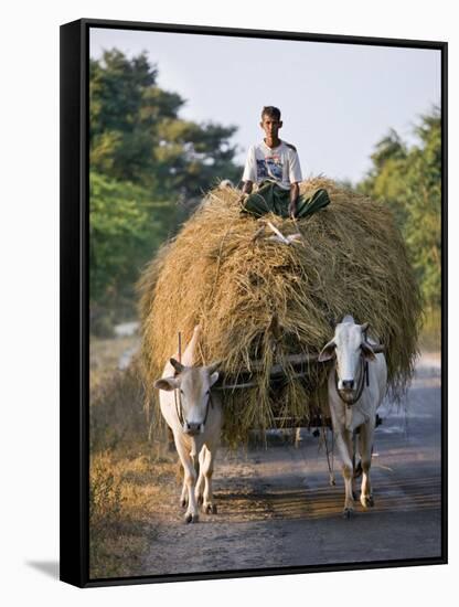 Myanmar, Burma, Bagan, A Farmer Takes Home an Ox-Cart Load of Rice Straw for His Livestock-Nigel Pavitt-Framed Stretched Canvas