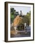 Myanmar, Burma, Bagan, A Farmer Takes Home an Ox-Cart Load of Rice Straw for His Livestock-Nigel Pavitt-Framed Photographic Print