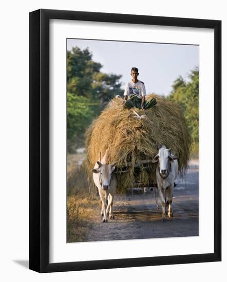 Myanmar, Burma, Bagan, A Farmer Takes Home an Ox-Cart Load of Rice Straw for His Livestock-Nigel Pavitt-Framed Photographic Print