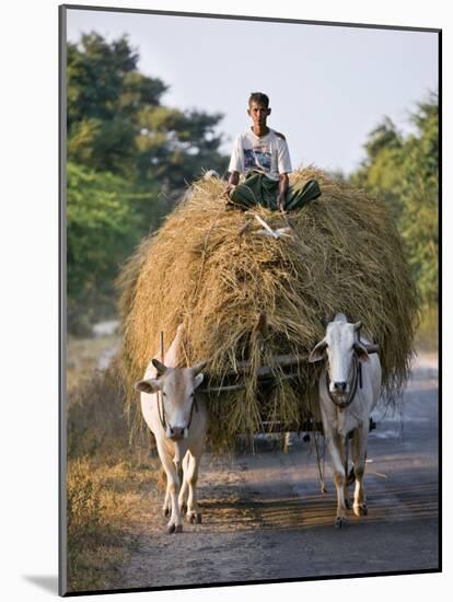 Myanmar, Burma, Bagan, A Farmer Takes Home an Ox-Cart Load of Rice Straw for His Livestock-Nigel Pavitt-Mounted Photographic Print