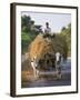Myanmar, Burma, Bagan, A Farmer Takes Home an Ox-Cart Load of Rice Straw for His Livestock-Nigel Pavitt-Framed Photographic Print