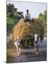 Myanmar, Burma, Bagan, A Farmer Takes Home an Ox-Cart Load of Rice Straw for His Livestock-Nigel Pavitt-Mounted Photographic Print