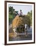 Myanmar, Burma, Bagan, A Farmer Takes Home an Ox-Cart Load of Rice Straw for His Livestock-Nigel Pavitt-Framed Photographic Print