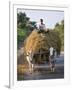 Myanmar, Burma, Bagan, A Farmer Takes Home an Ox-Cart Load of Rice Straw for His Livestock-Nigel Pavitt-Framed Photographic Print