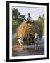 Myanmar, Burma, Bagan, A Farmer Takes Home an Ox-Cart Load of Rice Straw for His Livestock-Nigel Pavitt-Framed Photographic Print