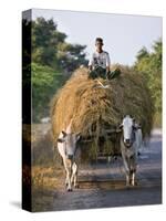 Myanmar, Burma, Bagan, A Farmer Takes Home an Ox-Cart Load of Rice Straw for His Livestock-Nigel Pavitt-Stretched Canvas