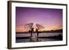 Myanmar (Burma), Shan State, Inle Lake, Local Fishermen at Sunset-Michele Falzone-Framed Photographic Print