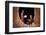 Myanmar (Burma), Shan State, Inle Lake, Nyaungshwe, Shwe Yaunghwe Kyaung Monastery-Michele Falzone-Framed Photographic Print