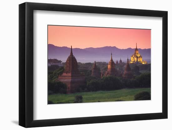 Myanmar (Burma), Temples of Bagan (Unesco World Heritage Site), Thatbynnyu Pagoda-Michele Falzone-Framed Photographic Print