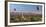 Myanmar (Burma), Temples of Bagan (Unesco World Heritage Site)-Michele Falzone-Framed Photographic Print