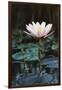 Myanmar, Close-Up View of Water Lily at Inle Lake-Russell Young-Framed Premium Photographic Print