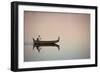 Myanmar Commute-Art Wolfe-Framed Photographic Print